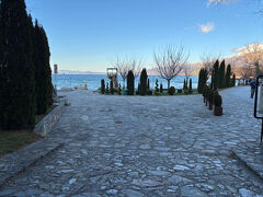 敷地には孔雀が複数いた。