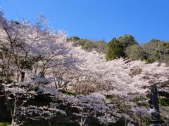 桜山公園
