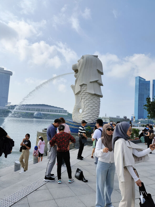 思春期息子たちと行くシンガポール母子旅2025(後編)次男すねる、国立