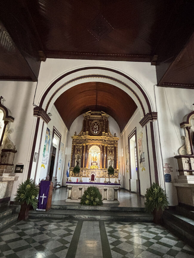 全てが木という訳ではありませんが