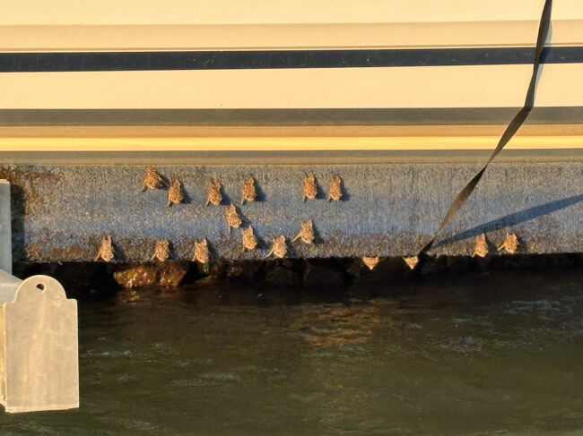 かわいいなぁ。