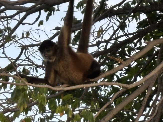 お互いがお互いをじーっと見つめる数分間。