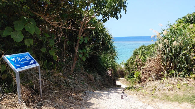 ザネー浜の案内が見られる細い道を海に向かって下っていくと。