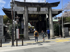 櫛田神社に向かいましたが、ここにも桜はないようです。しかし博多の人間としてはお参りしないで通り過ぎることはできません。
