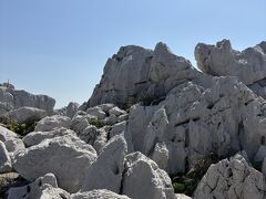 ホノルルから　ブレイスキャニオンに来ました