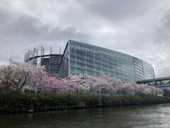 花見クルーズとなりました。