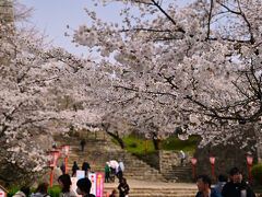 津山城(鶴山公園)