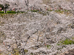 津山城(鶴山公園)