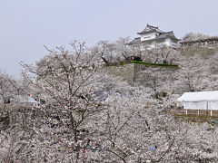 津山城(鶴山公園)