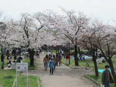 我々は桜宮橋を渡って毛馬桜之宮公園を南下します