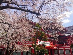 大須観音

Mar.30
Cloudy and occasionally sunny

桜の名所ではありませんw