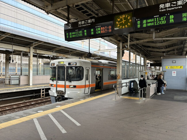 激レア　鹿児島鉄道発行　行幸啓奉送迎入場券の見本品 激レア 鹿児島鉄道発行 行幸啓奉送迎入場券の見本品
