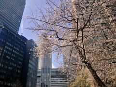 セントラルタワーズ前

Mar.30
Cloudy and occasionally sunny

桜の名所ではありませんw