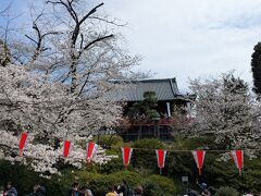 寛永寺清水観音堂