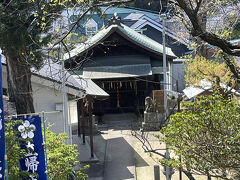さらに参道の満開の桜を楽しみながら光雲神社に向かう参道を上ると左手に立帰天満宮があります。天満宮ですから菅原道真をご祭神とする神社です。港近くに鎮座する当社は、「立帰」でわかるかと思いますが、福岡藩藩船の船乗りに信仰され、近代になってからも特に遠洋航海にでる漁業関係者の崇敬を集めた神社です。桜は多くはないです。