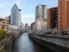 目黒川(桜並木)