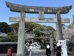 急な坂道になった参道を登り詰めると光雲神社です。福岡藩の藩祖である黒田官兵衛(如水)とその子で初代藩主の黒田長政をお祀りしている神社です。境内にある満開の桜がきれいでした。