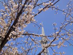 久屋大通

Mar.30
Cloudy and occasionally sunny

桜の名所ではありませんw
