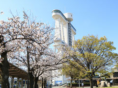 桜の花が満開で名古屋港ポートビルが映えます。
