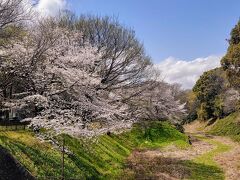 名古屋城

Mar.30
Cloudy and occasionally sunny

訪問時、五分咲きでした(^^)