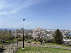 最後に、桜ヶ丘とその周辺の桜の写真を追加しておきます。

※2025年4月6日、写真追加