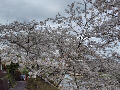 次は田沼関係のお寺巡りもしてみたいと思ってます。
