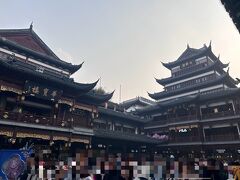 とにかくめっちゃくちゃ人多い
そうだ、忘れてた。今日は土曜日…
