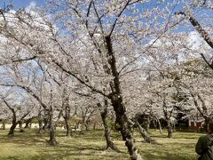岡山後楽園