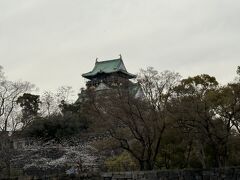 大阪城が見えましたヾ(≧▽≦)ﾉ

まずはお散歩で大阪城を目指します。