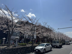 若宮大路