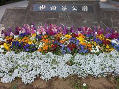 世田谷公園