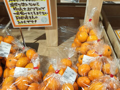 函南町の「道の駅　伊豆ゲートウェイ函南」。
連絡橋で川の駅との往来可能。

寿太郎みかんって、沼津市西浦のみかんなのね。
