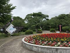 おおむら花まつり