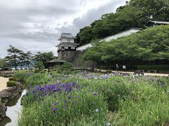 おおむら花菖蒲まつり