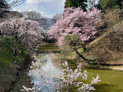 上田城千本桜まつり