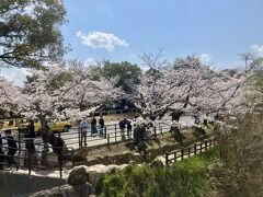 旭川