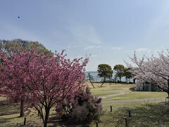 このあたりは、桜だけでなく、色とりどりの花が楽しめます