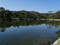 9時になったので、養翠園に入る。この庭園は、紀州藩第十代藩主?川治寶によって造営された別邸の跡である。特徴なのは、庭の大部分を占める大池であり、その周囲を松林が巡っていた。