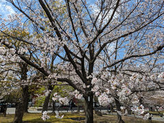 外国人が並んでチケットを買うところで、800円でしたが買うのをやめてしまっていました。