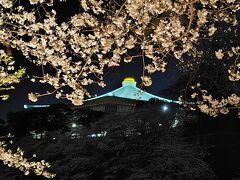 武道館の屋根の色は可愛い～！