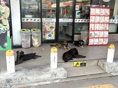ピンクガネーシャ近くのセブンは空港等のセブンイレブンに比べて入るのに苦労します