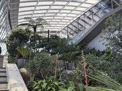 ２日目は時差ボケで5時頃目が覚めました。ホテルでだらだらして8時頃SkyGardenへ。前回2016年に訪れて母が気に入っていたので、今回はDarwin Brasserieを予約して朝食をとることに。