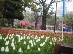 この雨じゃ試合も中止かな。