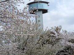 古代蓮の里に建つ「行田タワー」
登らなかったけど、、　