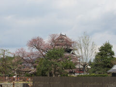 【松本城公園】

おおおお！さすが平城！すでに目の前に天守が！
天守までの道のりを「攻め手」となり、生きるか死ぬかを妄想しながら進むのが楽しいので、ここまで近いと困ってしまう（汗）