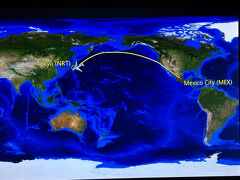 成田国際空港
