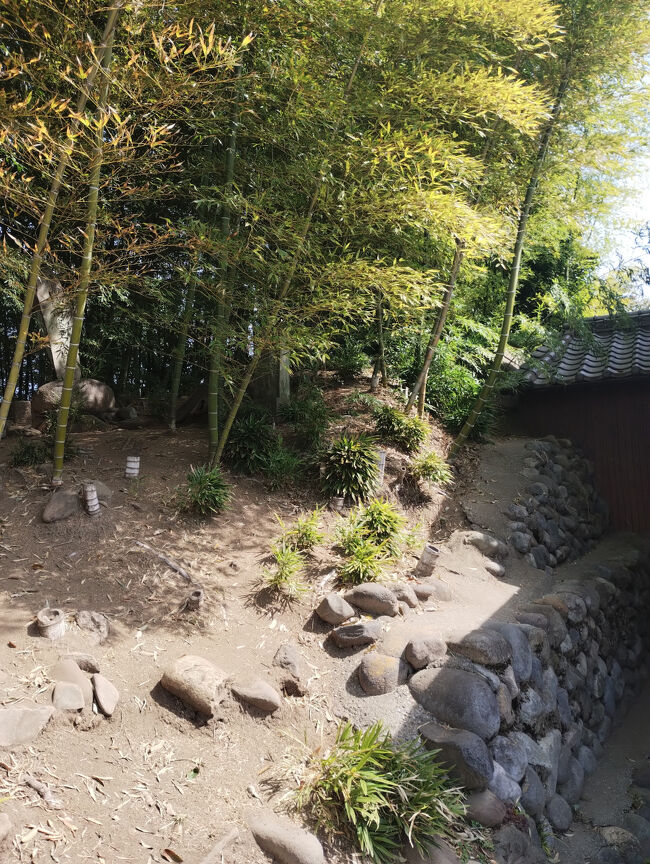 【美品】学研・週間神社紀行 日本の寺めぐり（全50巻） 一生に一度は参拝したい全国の神社・お寺めぐり | 渋谷伸博 |本