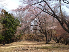 本丸跡に到着した。山中に意外に広い敷地が広がっている。桜は咲き始めだ。
