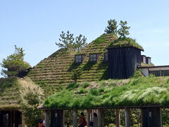 屋根の上の草が青々していて、気持ち良い。