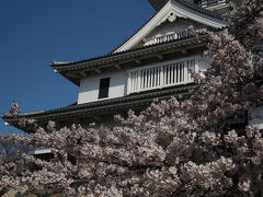 朝日の中の城と桜